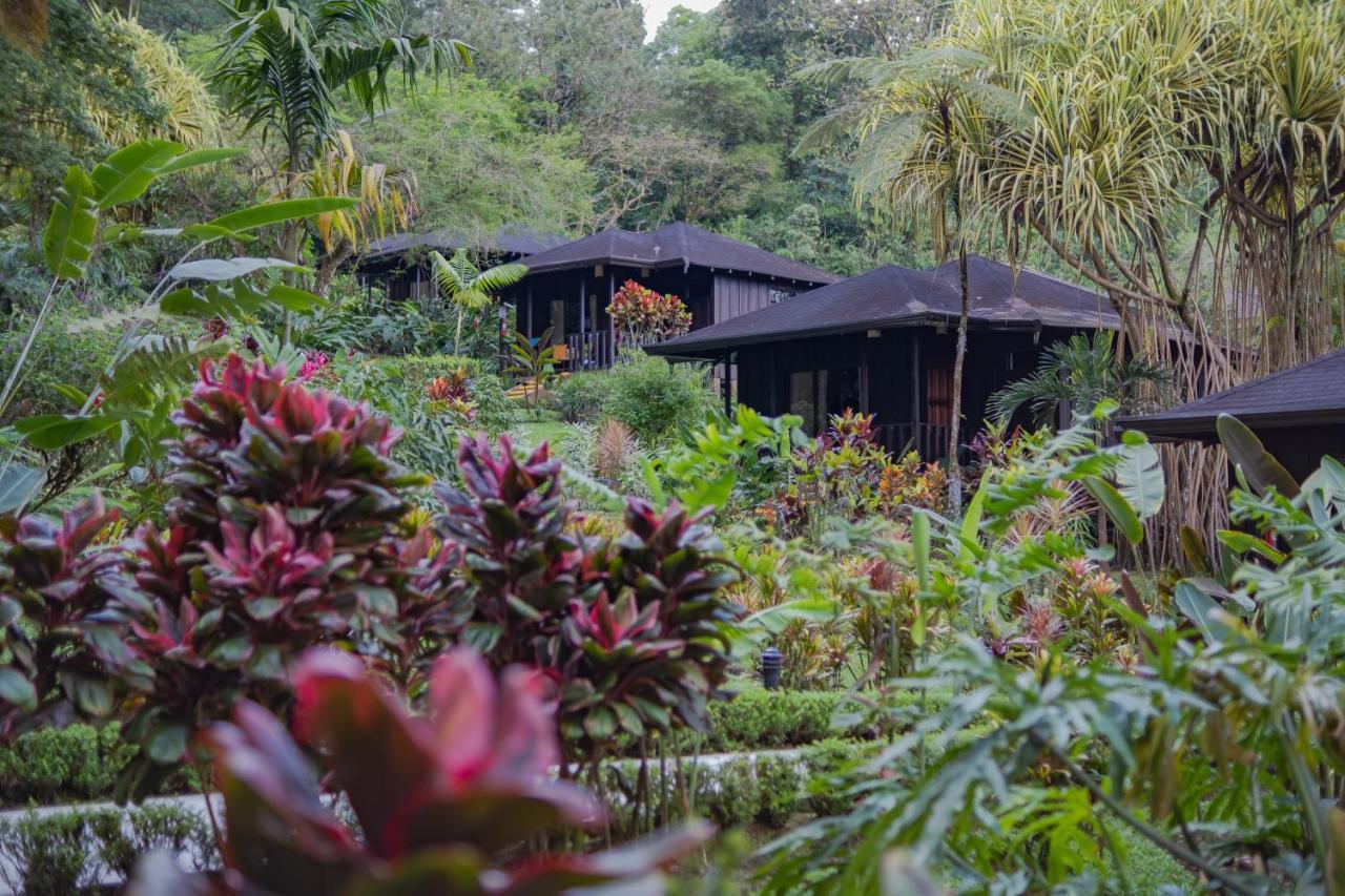 Hotel Lomas Del Volcan La Fortuna Екстериор снимка